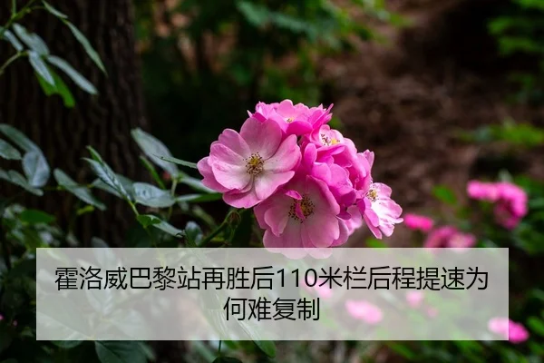 霍洛威巴黎站再胜后110米栏后程提速为何难复制