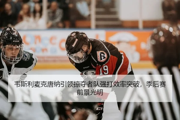 韦斯利麦克唐纳引领掠夺者队强打效率突破，季后赛前景光明