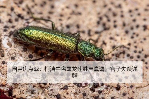 围甲焦点战：柯洁中盘屠龙速胜申真谞，官子失误详解