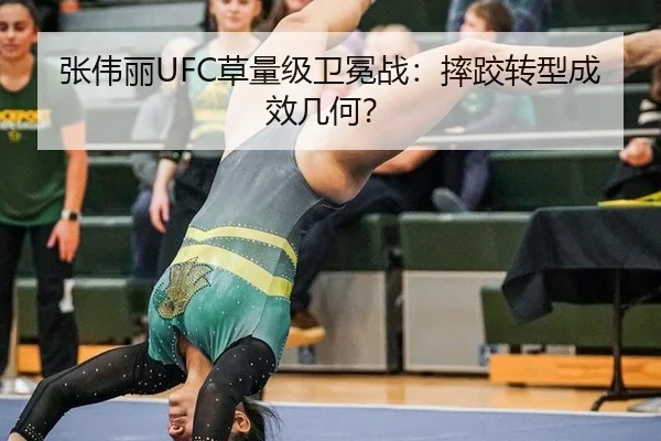 zhang-wei-li-cao-liang-ji-wei-mian-zhan-shuai-jiao-zhuan-xing-cheng-xiao-ji-he-3-785.jpg